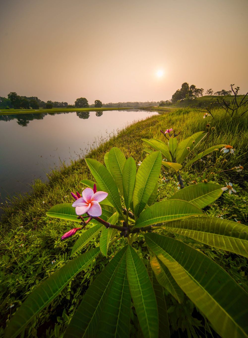 Sky Lake Resort Golf Club - Sky Lake